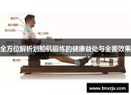 全方位解析划船机锻炼的健康益处与全面效果
