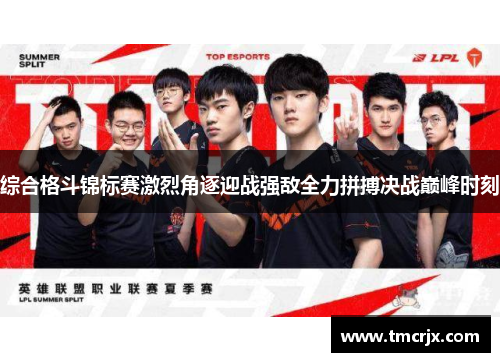 综合格斗锦标赛激烈角逐迎战强敌全力拼搏决战巅峰时刻