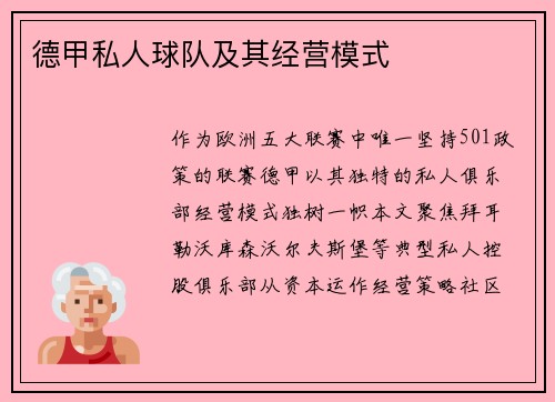 德甲私人球队及其经营模式